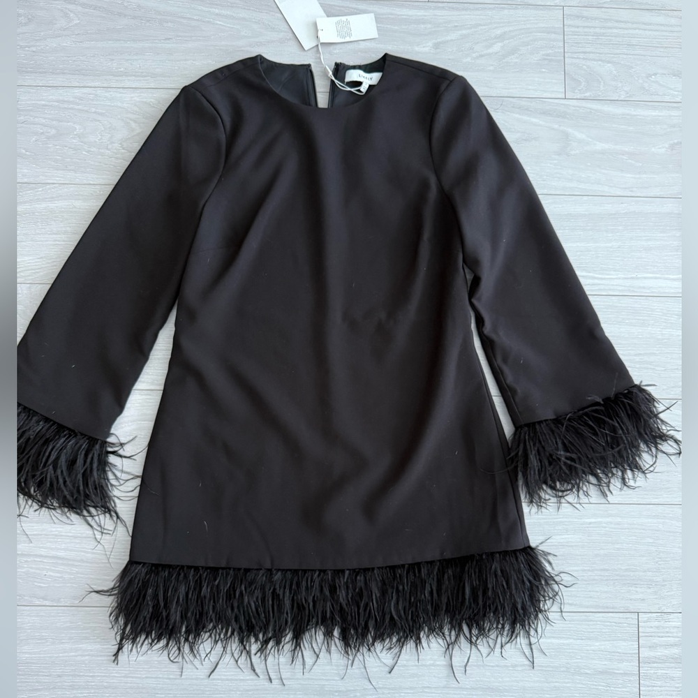Likely Black Long Sleeve Dress with Feather Trim